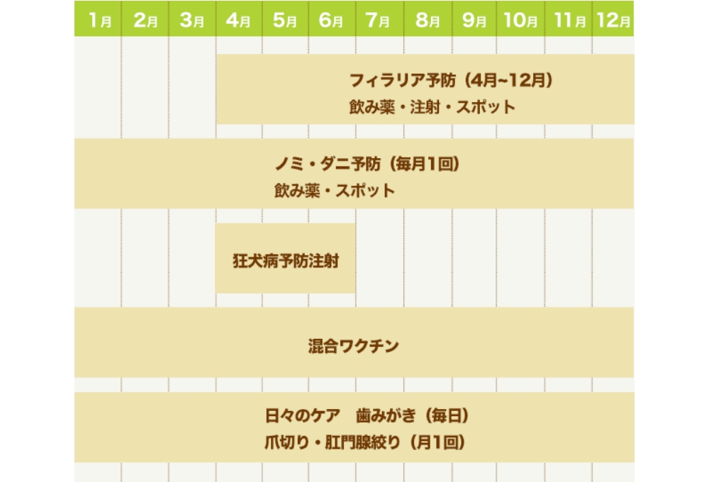 予防年間スケジュール