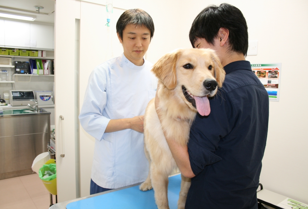 健康診断について