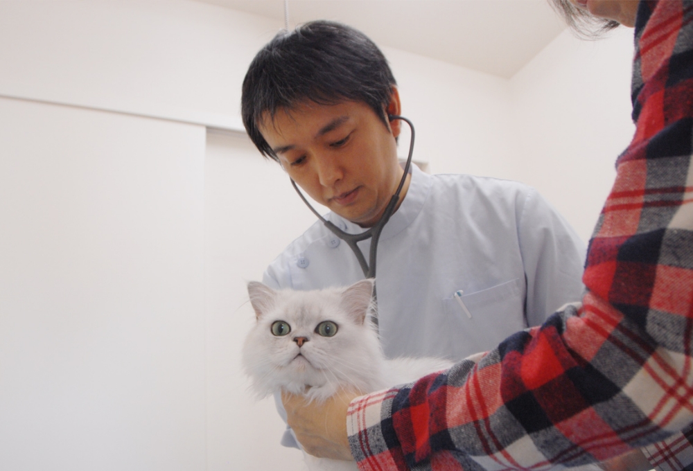 獣医師によるメディカルチェック
